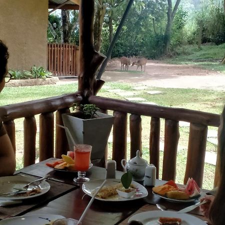 إيلا Saffron Eco Cottage المظهر الخارجي الصورة