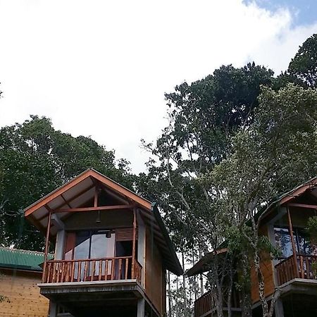 إيلا Saffron Eco Cottage المظهر الخارجي الصورة