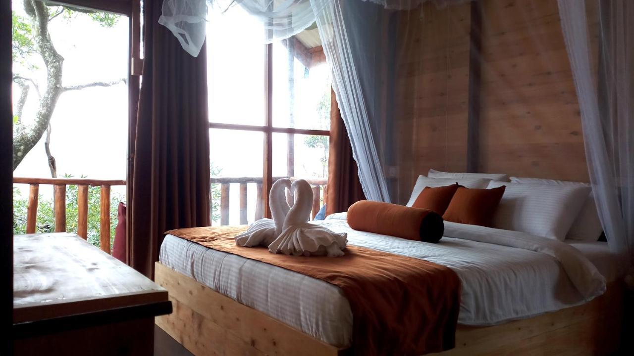 إيلا Saffron Eco Cottage المظهر الخارجي الصورة