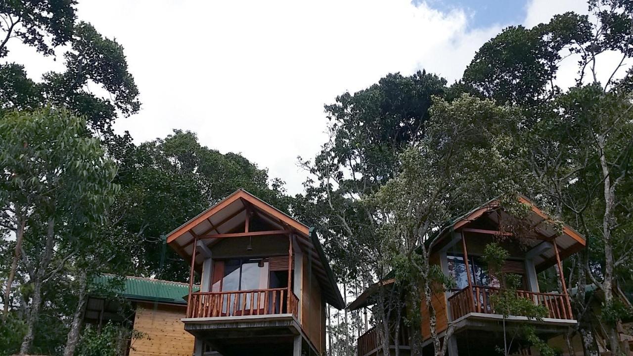 إيلا Saffron Eco Cottage المظهر الخارجي الصورة