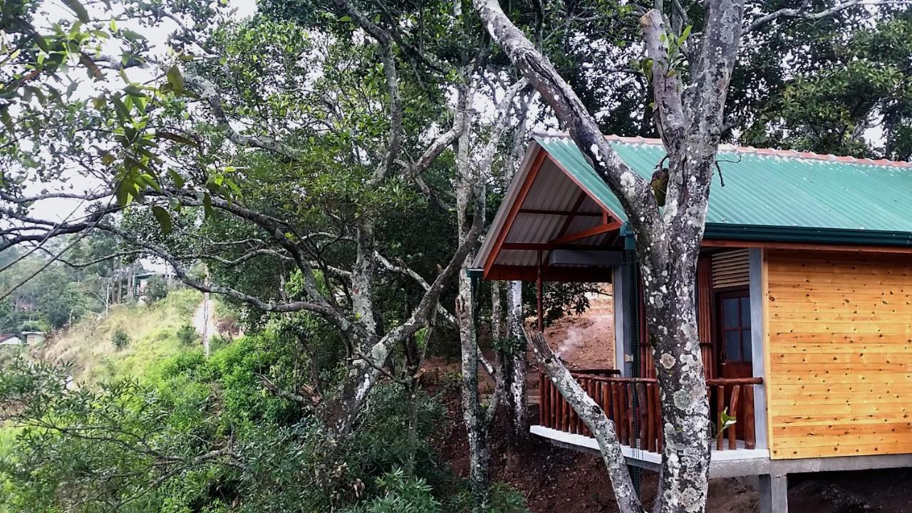 إيلا Saffron Eco Cottage المظهر الخارجي الصورة