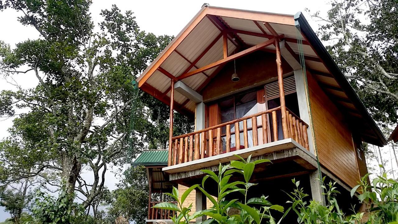 إيلا Saffron Eco Cottage المظهر الخارجي الصورة